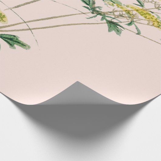 JAPANESE BUTTERFLY-STROMEN VOOR het verpakken van  Cadeaupapier (Hoek)