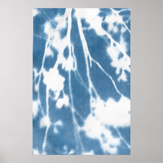 Japanese Cherry Bloom Cyanotype Poster (Voorkant)