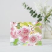 Japanese cherry blossoms briefkaart (Staand voorkant)