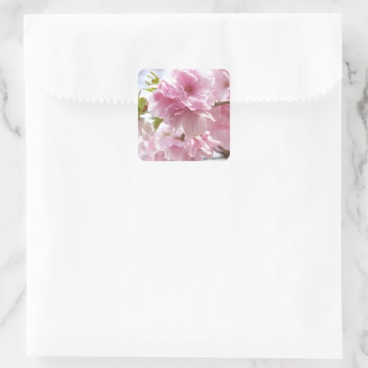 Japanese cherry blossoms vierkante sticker (Tas)
