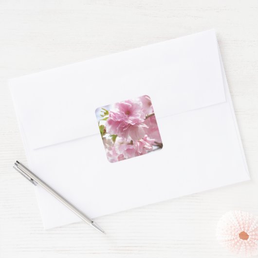 Japanese cherry blossoms vierkante sticker (Envelop)