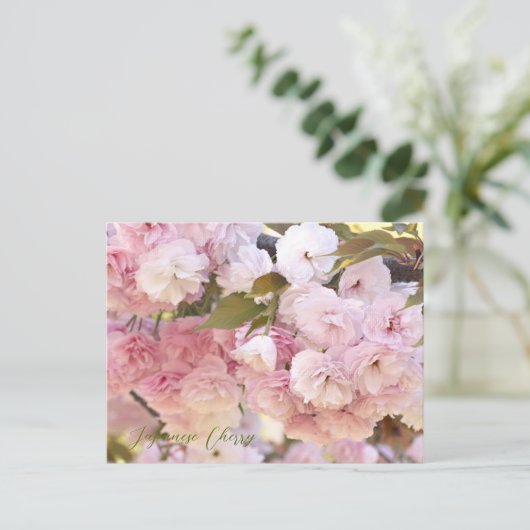 Japanese Cherry Briefkaart (Staand voorkant)