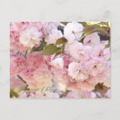 Japanese Cherry Briefkaart (Voorkant)