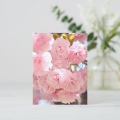 Japanese Cherry Briefkaart (Staand voorkant)