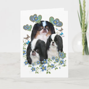 Japanese Chin All Occasion Greeting Cards and Art Kaart