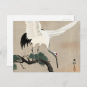 Japanese Crane on Branch of Pine, 1900-1930 Briefkaart (Voorkant / Achterkant)