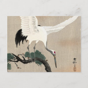 Japanese Crane on Branch of Pine, 1900-1930 Briefkaart