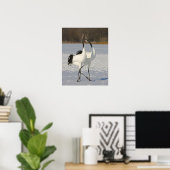 Japanese Cranes dancing on snow Poster (Thuiskantoor)
