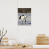 Japanese Cranes dancing on snow Poster (Keuken)