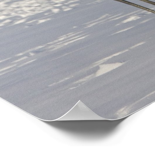 Japanese Cranes dancing on snow Poster (Hoek)