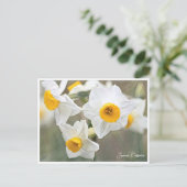 Japanese Daffodils Briefkaart (Staand voorkant)