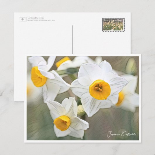 Japanese Daffodils Briefkaart (Voorkant / Achterkant)