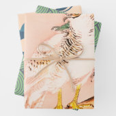 JAPANESE FALCOLN-vellen voor het ompakken van papi Inpakpapier Vel (In situ)