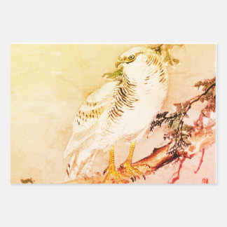 JAPANESE FALCOLN-vellen voor het ompakken van papi Inpakpapier Vel