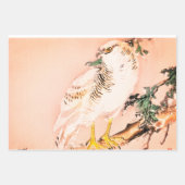 JAPANESE FALCON WOODBLOCK AFDRUKWEEKSCHERMEN INPAKPAPIER VEL (Voorkant)