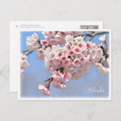 Japanese Flowering Cherry Briefkaart (Voorkant / Achterkant)