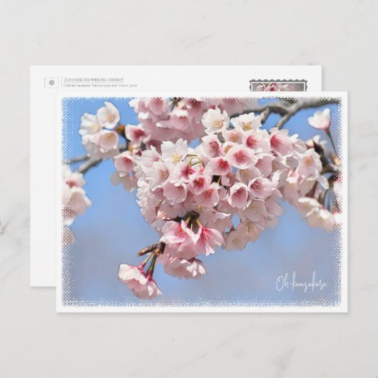 Japanese Flowering Cherry Briefkaart (Voorkant / Achterkant)