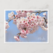 Japanese Flowering Cherry Briefkaart (Voorkant)