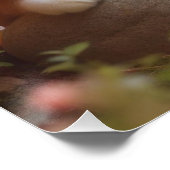 Japanese flowers and orange tabby cat perfect poster (Hoek)