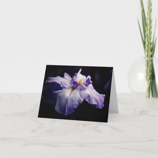 Japanese Iris Beauty Flower Photography Note Kaart (Voorkant)