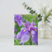 Japanese iris briefkaart (Staand voorkant)