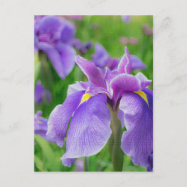 Japanese iris briefkaart