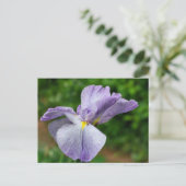 Japanese Iris Unfolding Flower Photography Briefkaart (Staand voorkant)