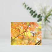 Japanese Maple: Autumn Leaves Briefkaart (Staand voorkant)