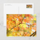 Japanese Maple: Autumn Leaves Briefkaart (Voorkant / Achterkant)