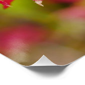 Japanese Maple Leaves Poster (Hoek)