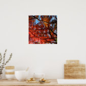 Japanese Maple Poster (Keuken)