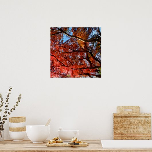 Japanese Maple Poster (Keuken)