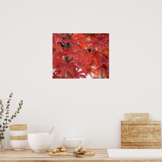 Japanese Maple Tree Fall Foliage Poster (Keuken)