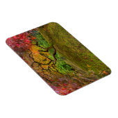 Japanese maple tree in autumor color magneet (Rechterzijde)