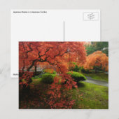 Japanese Maples in a Japanese Garden in Autumn Briefkaart (Voorkant / Achterkant)