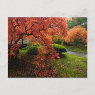 Japanese Maples in a Japanese Garden in Autumn Briefkaart