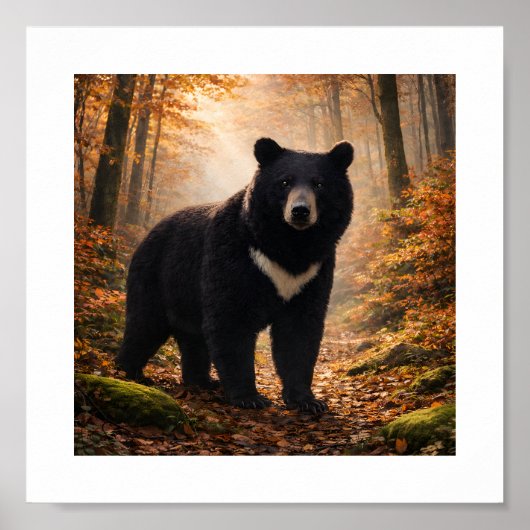 Japanese Moon Bear in Autumn Forest – Art Print (Voorkant)