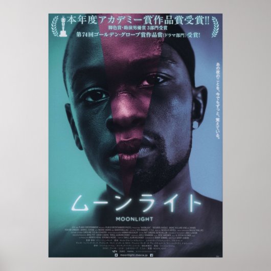 Japanese Moonlight Poster (Voorkant)