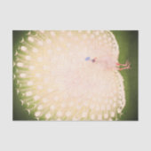 JAPANESE PEACOCK-tissuepapier Tissuepapier (Voorkant)