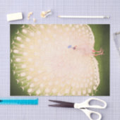 JAPANESE PEACOCK-tissuepapier Tissuepapier (Craft)