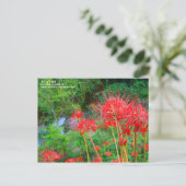 JAPANESE SHANGRI-LA [Postcard] Briefkaart (Staand voorkant)