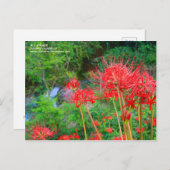 JAPANESE SHANGRI-LA [Postcard] Briefkaart (Voorkant / Achterkant)