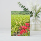 JAPANESE SHANGRI-LA [Postcard] Briefkaart (Staand voorkant)