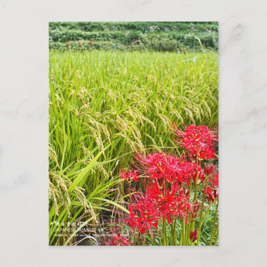 JAPANESE SHANGRI-LA [Postcard] Briefkaart (Voorkant)