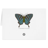 Japanese Swallowtail Card (Achterkant Horizontaal)