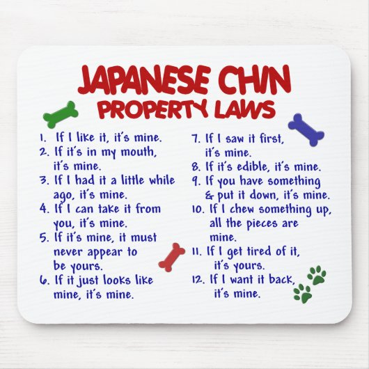 JAPANESE WETTELIJKE WETGEVING 2 MUISMAT (Voorkant)