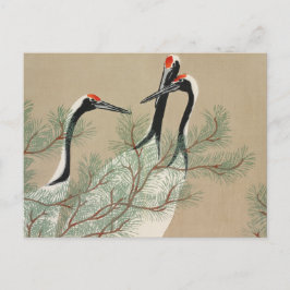 Japanese woodblock-print Cranes - Kamisaka Sekka Briefkaart