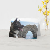 Japaness Akita Kaart (Gele Bloem)