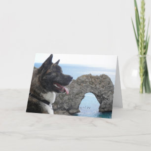 Japaness Akita Kaart