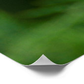 japanische Anemone rosa blühend im Garten,Nahaufn. Poster (Hoek)